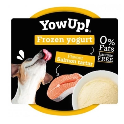 Picture of YowUp! Ice Cream Yogurt SALMON TARTAR